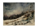 Watercolor 051207