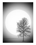 Moon Glow 2