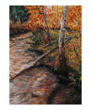 Autumn Reflections