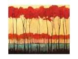 Tall Red Trees