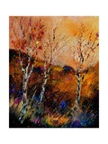 Three Poplars