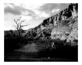 Ghost Gum Road