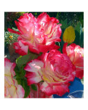 Red Rose Vase