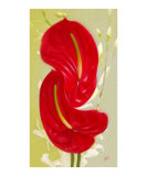 Red Anthurium with White Orchid - Celebration