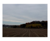 After the Corn Harvest in MN - 1