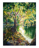 Barton Creek