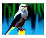 071007 Clarks Nutcracker