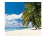 Classic Seven Mile Beach
