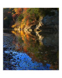 Fall Reflection