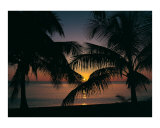 Grand Cayman Sunset