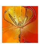 Flower II