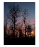 Dark Sunset