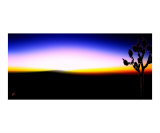 Desert Sunset
