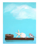 Birds Nest