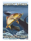 Trout Fishing Cross-Section  Mount Baker  Washington