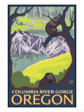 Beaver Family  Columbia River Gorge  Oregon