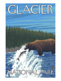 Bear Fishing in River  Glacier National Park  Montana