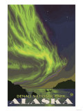 Northern Lights and Orcas  Denali National Park  Alaska