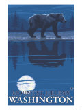 Bear in Moonlight  Mount St Helens  Washington