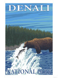 Bear Fishing in River  Denali National Park  Alaska