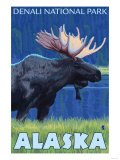 Moose at Night  Denali National Park  Alaska