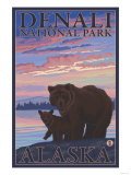 Bear and Cub  Denali National Park  Alaska