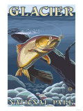 Trout Fishing Cross-Section  Glacier National Park  Montana