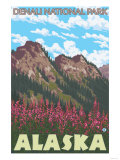 Fireweed & Mountains  Denali National Park  Alaska