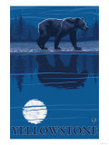 Bear in Moonlight  Yellowstone National Park
