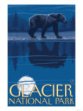 Bear in Moonlight  Glacier National Park  Montana