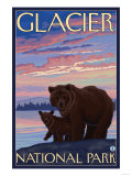 Bear and Cub  Glacier National Park  Montana
