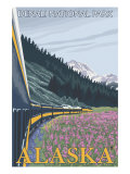 Alaska Railroad Scene  Denali National Park  Alaska