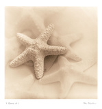 Il Oceano I