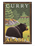 Black Bear in Forest  Curry  Alaska