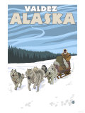 Dog Sledding Scene  Valdez  Alaska