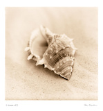 Il Oceano III