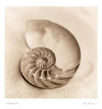 Il Oceano IV