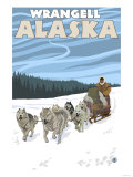Dog Sledding Scene  Wrangell  Alaska
