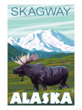 Moose Scene  Skagway  Alaska