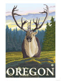 Caribou in the Wild  Oregon