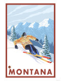Downhhill Snow Skier  Montana