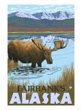 Moose Drinking at Lake  Fairbanks  Alaska