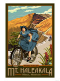 Mt Haleakala Bicycle Rides  Hawaii