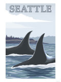 Orca Whales 1  Seattle  Washington