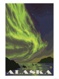 Northern Lights and Orcas  Dawson  Alaska