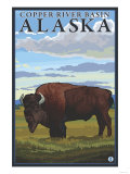 Bison Scene  Copper River Basin  Alaska