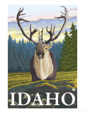 Caribou in the Wild  Idaho