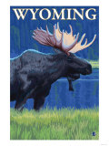 Moose at Night  Wyoming