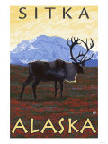 Caribou Scene  Sitka  Alaska