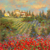 Provencal Village XII